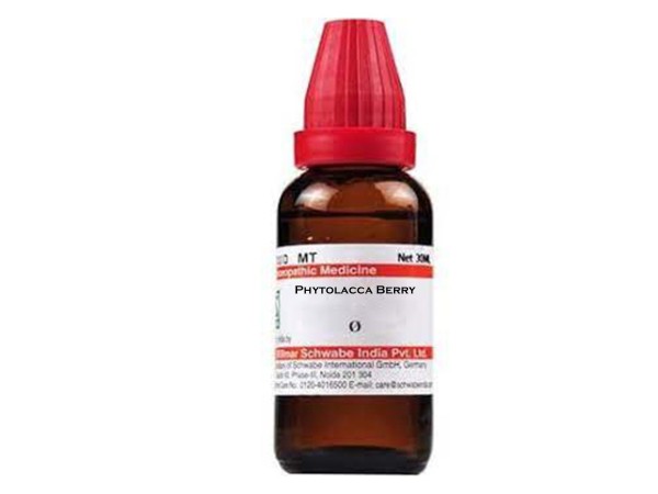 Phytolacca Berry